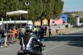 2009 san fiippo fci 065.jpg